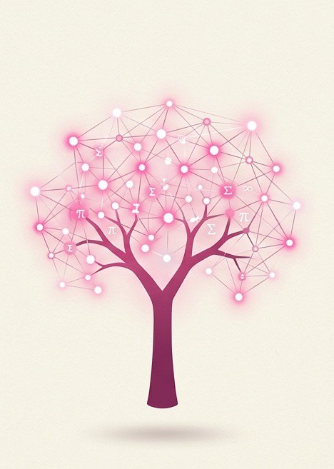Ipê Rosa do DM